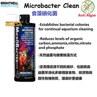 Brightwell MicroBacter Clean 500ml / 2L MarineTank Algae Remover Aquarium Algae Remover