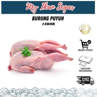 BURUNG PUYUH 1 EKOR [DELIVERY 1 SEMENANJUNG]