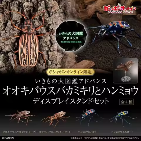 Bandai Genuine Biological Encyclopedia Gashapon Toys Macrodontia Cervicornis & Big Sand Tiger Beetle