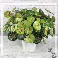 7-Prong New Begonia Leaf Simulation Plant Simulation Flower Plastic Leaf Plant Wall Decoration Plant