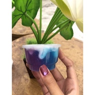 Zara _ Slime Slime Cheap Slime, Slime Galaxy Avalace, Cheap Slime, Slime Promo