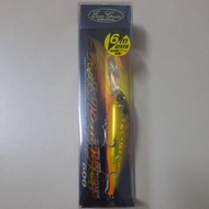 Evergreen Gold Digger