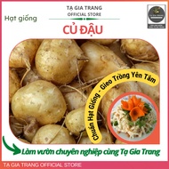 Jicama seeds, easy to grow, high yield, cool sweet roots