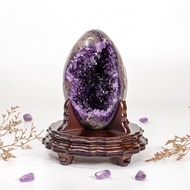 ESP 烏拉圭恐龍蛋 1031320