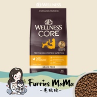 Wellness CORE Grain-Free Formula Puppy Dry Dog Food