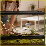 Jumping Spider Terrarium Decor Realistic Mushroom Reptile Tank Magnetic Decoration Jumping Spider Ha