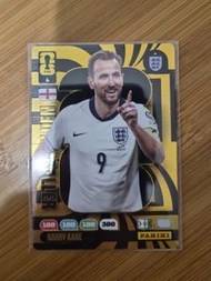 Panini Harry Kane 足球卡