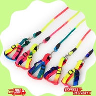 [CHEAP] 7 COLOR BIRDS FOR PETS