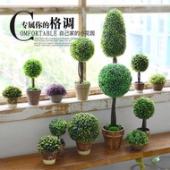 Nordic Style Simulation Green Plant Potted Plant Fake Flower Fresh Bedroom Living Room Decoration De