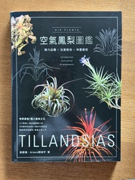 空氣鳳梨圖鑑 Tillandsia