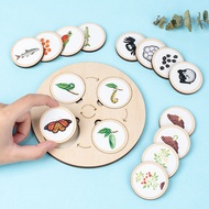 New Product#Wooden Montessori Life Cycle Tray Animal and Plant Life Cycle Change Puzzle Enlightenmen