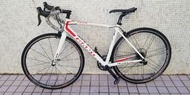 TCR Giant  捷安特