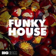 Big EDM Funky House 🔰 ProducerLoops *Sample Pack* (Win/Mac)