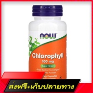 Delivery Free Now Foods Chlorophyll 100 mg 90 Veggie Caps