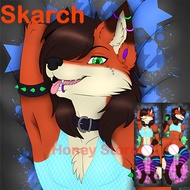 Dakimakura Skarch furry Double sided pillowcase Equal body pillow sexy body pillow cover