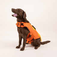 เสื้อชูชีพสัตว์เลี้ยง - เป็ดส้ม Life jacket | Clawset.bkk