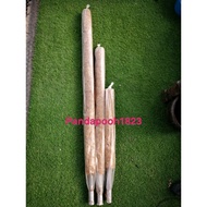 COCO STICK FOR CLIMBING PLANT / COCO FIBRE POLE / BATANG SABUT [READY STOCK]