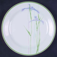 Shadow Iris Vintages Plates 7.25" With Green Line Edge Pattern Corelle 7.25" Salad Plates in the SHA