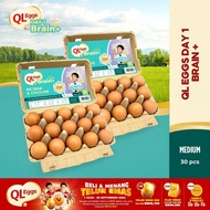 QL Eggs Day 1 Brain+  - Medium 30pcs Fresh Egg Farm Fresh Egg Telur Segar
