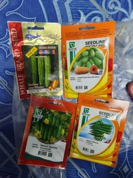 泰國蔬果類種子 秋葵 苦瓜 木瓜羅勒 青瓜tomato seed