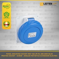 Schneider Electric Ip67 32A 2P+Pe 200-250V Mounted Angled Socket Panel biru - Pkf32F723