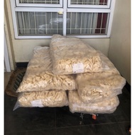 CUANKI LIDAH BALL BALL 900 SEEDS