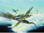 Trumpeter 1/32 P51B Mustang Fighter Model Kit