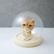 加菲貓客製寵物羊毛氈 豆豆貓 寵物客製 公仔