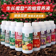 【多西多】生長魔勵營養液通用型肥料 盆栽植物水培花卉多rou蘭花肥液體肥料