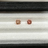 【裸石】碧璽 Tourmaline LT50/LT59