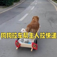 Dog Pulling Cart Can Sit People Carrier Wooden Cart Old-fashioned Dog Pulling Cart Dog Dedicated Sma