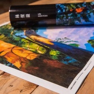 高美書屋 2018 林惺嶽展 海報 台灣神木的風雲歲月