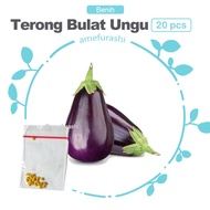 Amefurashi 50 Benih BIji Sayur Terong Ungu Terong Ijo Terong Ungu Bulat Terong Hitam Mudah Tumbuh