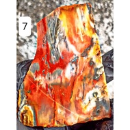 MERAH F0SIL RED WOOD MULTI COLOR AGATE STONE MATERIAL