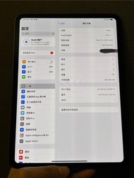 二手 98%新 ipad pro 11吋2024 M4 Wifi 1TB  香港🇭🇰行貨