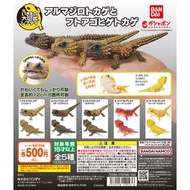 ［現貨］扭蛋 The Diversity of Life on Earth Repti ARMADILLO GIRDLED LIZARD & BEARDED DRAGON / 大圖鑑系列 犰狳&鬃獅蜥