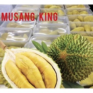 Fresh Musang King pulp (Raub）500 grams 高山老树猫山王果肉500克