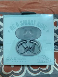 Rock 藍牙耳機掛耳式運動跑步不入耳2024新款耳機