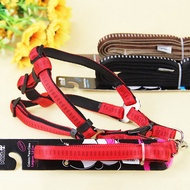 GOLDEN PANDA BASIC HALTER HARNESSES