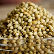 Coriander Seed 200 gr