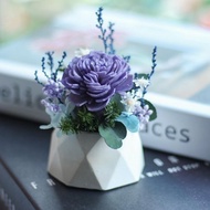 石膏擴香桌花-主花索拉花款 香氛擺飾 永生桌花 辦公療癒小物