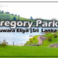 โรงแรม Nuwara eliya rashini mountain view cottage - Nuwara Eliya