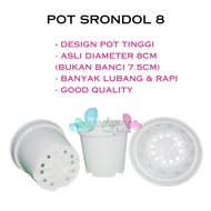 Pot SRONDOL 8 cm PUTIH Pot Polos Basic Tinggi 8cm Pot Bunga Tanaman