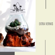 AKUARIUM IKAN CUPANG/ KACA TIUP DAN AKAR BALI / AQUASCAPE / AQUARIUM UNIK GLASSWOOD / POT / VAS / KA