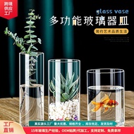 [in stock] Minimalist glass vase, green plant hydroponic ecological bottle, straight vase, micro lan