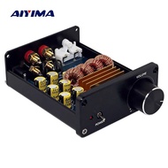 AIYIMA 2.0 TPA3116 Amplifier Mini Daya Kelas D Papan Audio Amplifier