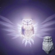 3D Animal Led Wall Light Bald EagleEagle Wall Light Night Owl and Lion HeadWall Light Owl3D Printed