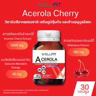 [30แคปซูล] WELLFIT Acerola Cherry 1000 mg plus  เวลฟิต อะเซโรล่าเชอร์รี่ 1000มก. พลัส
