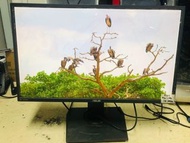 Asus 27吋 27inch MG278Q 2K 144hz 電競顯示器 Gaming monitor (有喇叭, Speaker) $2300