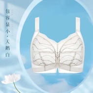 New store openingB C D E F G 75 80 85 90 95 100 105 Plus Size Lingerie For Lace Underwear Women Bras